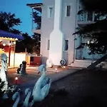 Sandykosta *