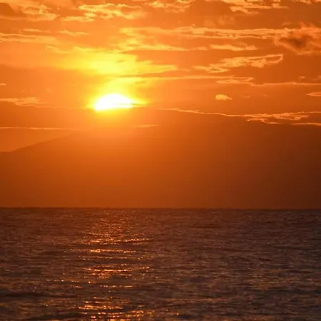 Sandykosta * Kiáton