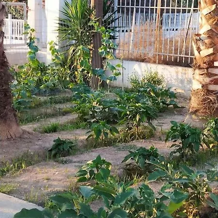 Sandykosta * Kiáton