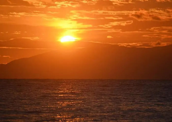 Sandykosta * Kiáton